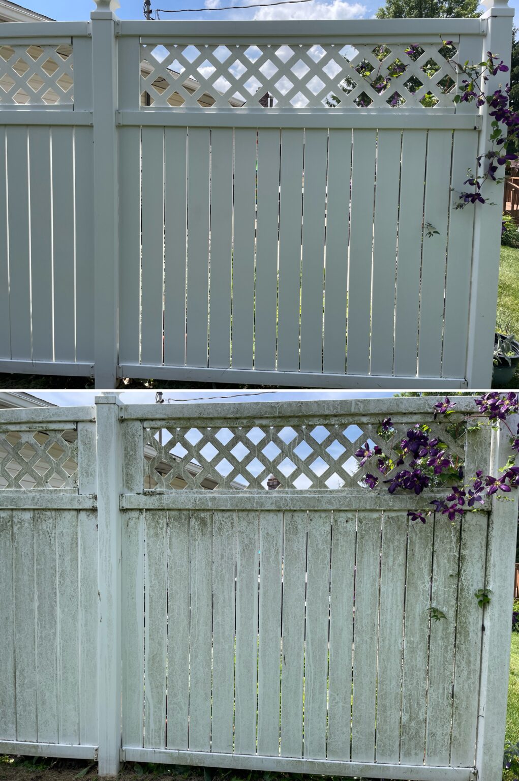 Before and after vinyl fence cleaning showing algae and dirt removal on a white fence in Columbus Grove Ohio by Ohio Wash Boss