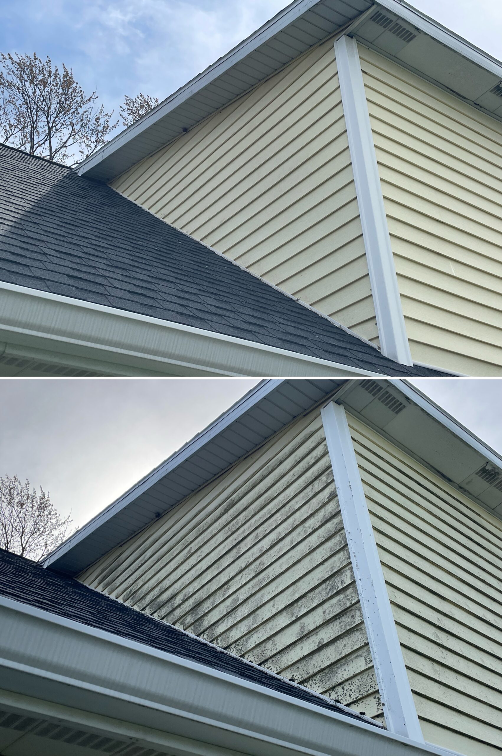 Before and after house wash showing mold, algae, and dirt removal on vinyl siding in Dola Ohio by Ohio Wash Boss.
