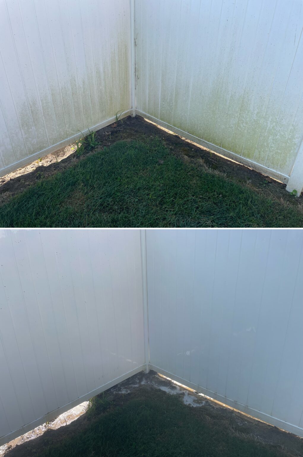 Before and after vinyl fence cleaning showing algae and dirt removal on a white fence in Shawnee Ohio by Ohio Wash Boss.